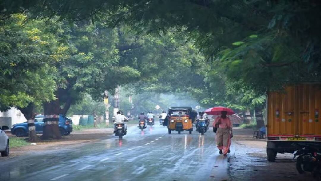 TN Weather Update: 24 ஆம் தேதி கடலோர மாவட்டங்களுக்கு மழை எச்சரிக்கை.. மற்ற நாட்களில் எப்படி?