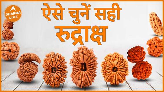 How to recognise real rudraksh असली रुद्राक्ष कैसे पहचानें Rudraksh रुद्राक्ष Dharma Live