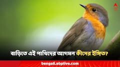 বাড়ির সামনে এই পাখিরা এলে সৌভাগ্যের ইঙ্গিত! বাড়বে ধন-সম্পদ, সমৃদ্ধি!