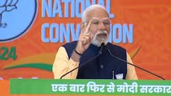 మిగిలింది 100 రోజులే, 400 సీట్ల లక్ష్యాన్ని సాధించాలి - పార్టీ నేతలతో ప్రధాని మోదీ