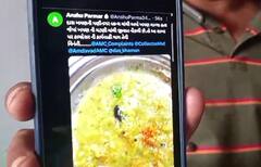 Ahmedabad News: બહારનું ખાવાના શોખિનો સાવધાન, દાસના ખમણમાંથી નીકળ્યું મચ્છર, ગ્રાહકે કરી ફરિયાદ