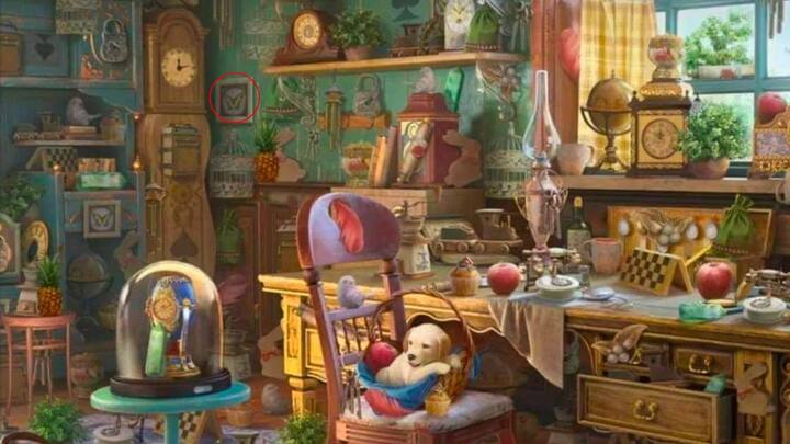 5 सेकंड हो चुके हैं और अभी आप तस्वीर में छुपी तितली नहीं ढूंढ पाए हैं. तो घबराएं मत हमने तितली को आपके लिए ढूंढ दिया है. हमने तस्वीर के उस हिस्से को लाल रंग के घेरे से मार्क कर दिया जहां पर तितली है.