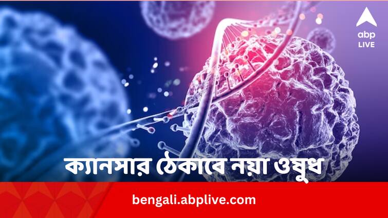 UK Scientists found new drug to treat deadly lung cancer Cancer Treatment: ফুসফুসের মারাত্মক ক্যানসার ঠেকাবে নয়া ওষুধ, বাড়বে আয়ুও