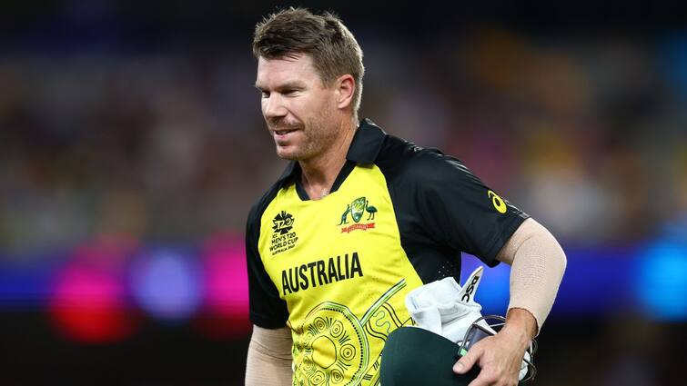 ‘They Were given Private’: David Warner Remembers Antagonistic New Zealand Crowd Forward Of NZ vs AUS T20Is