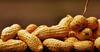 Peanuts Disadvantages : अति शेंगदाणे खाणे ठरू शकते घातक ?