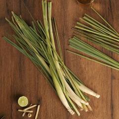 Health Tips: ਇਸ ਡੀਟੌਕਸ ਡਰਿੰਕ ਨਾਲ ਕਰੋ ਦਿਨ ਦੀ ਸ਼ੁਰੂਆਤ,  ਭੁੱਲ ਜਾਓਗੇ ਚਾਹ