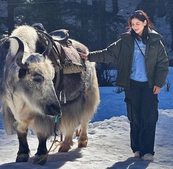 ਇਸ ਦਰਮਿਆਨ ਤਾਨੀਆ ਨੂੰ ਪਹਾੜੀ ਜਾਨਵਰ ਯਾਕ ਨਾਲ ਵੀ ਮਸਤੀ ਕਰਦੇ ਦੇਖਿਆ ਗਿਆ। ਤਾਨੀਆ ਨੇ ਯਾਕ ਨਾਲ ਖੂਬ ਮਜ਼ਾ ਕੀਤਾ।