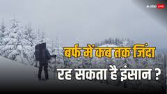 बर्फ में कितने दिन तक जिंदा रह सकता है कोई आम इंसान, जानें क्या कहता है विज्ञान