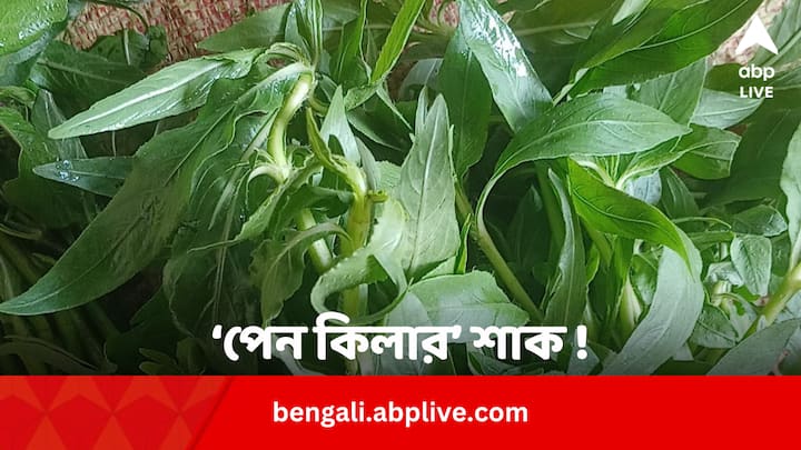 Buffalo Spinach or Helencha leaves Benefits: শাক হলেও ব্যথা কমাতে ওস্তাদ। লিভার ভাল রাখার পাশাপাশি এর আরও নানা গুণ রয়েছে।