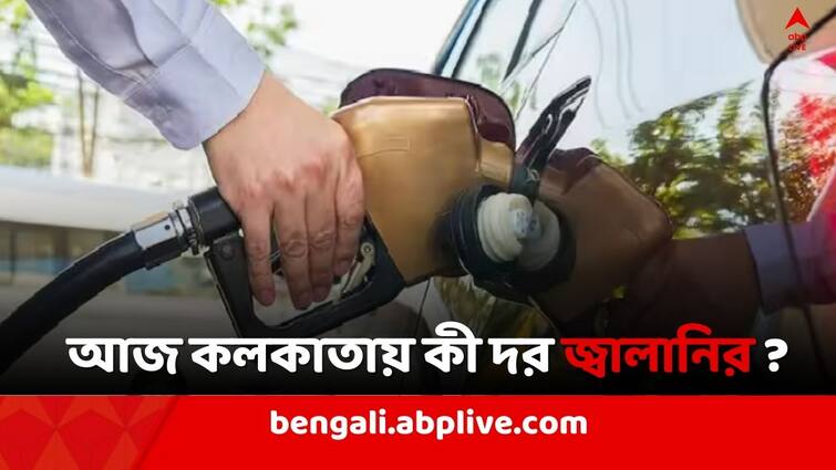 Petrol Diesel Price Today Fuel Price  in Kolkata India 19 February Petrol Diesel Price: ভোটের আগে পেট্রোলের দরে বদল একাধিক শহরে, কলকাতায় কী দরে বিকোচ্ছে ডিজেল ?