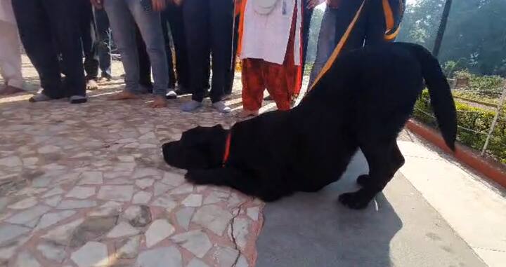 आज छत्रपती शिवाजी महाराजांची 394 वी जयंती आहे. (Photo Credit : ABP MAJHA)