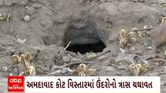 ABP News ABP News