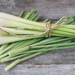 Health Tips: ਇਸ ਡੀਟੌਕਸ ਡਰਿੰਕ ਨਾਲ ਕਰੋ ਦਿਨ ਦੀ ਸ਼ੁਰੂਆਤ,  ਭੁੱਲ ਜਾਓਗੇ ਚਾਹ