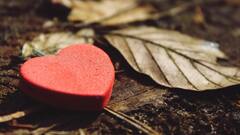 Heart Health : जास्त मीठ आणि साखर हृदयासाठी आहे हानिकारक ,यामुळे वाढवू शकतो हृदयरोगाचा धोका !