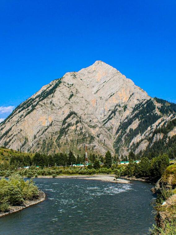 जम्मू कश्मीर में इन चीजों की खेती से होता है लाखों का मुनाफा