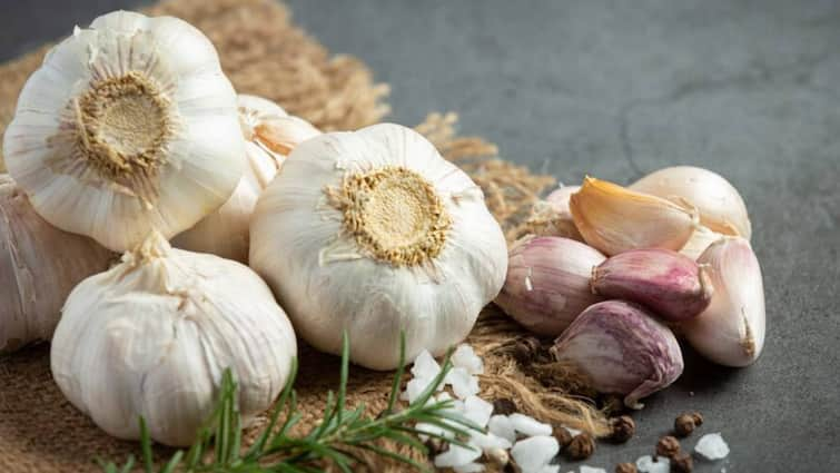 Can You Eat Too Much Garlic how much eat per day ज्यादा लहसुन खाने से बिगड़ सकती है सेहत, जानें एक दिन में कितना खाना चाहिए?