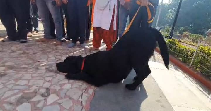 छत्रपती शिवाजी महाराज यांची जयंती पुण्यात जल्लोषात साजरी केली जात आहे. (Photo Credit : ABP MAJHA)