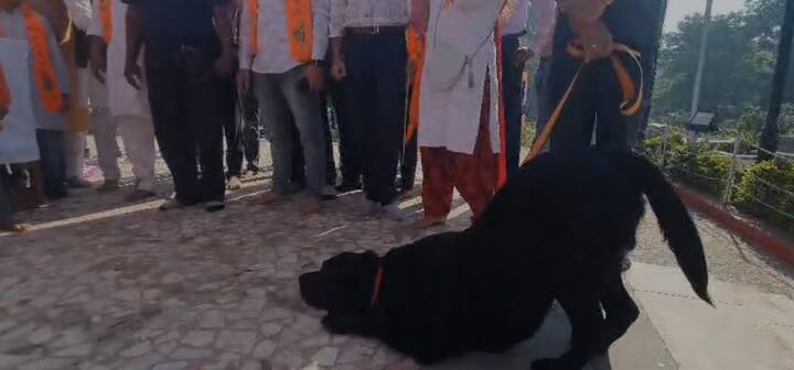 गल्लीपासून दिल्लीपर्यंत शिवजयंतीचा उत्साह पाहायला मिळत आहे. राज्यासह देशभरात शिवप्रेमींमध्ये उत्साह दिसून येत आहे. (Photo Credit : ABP MAJHA)