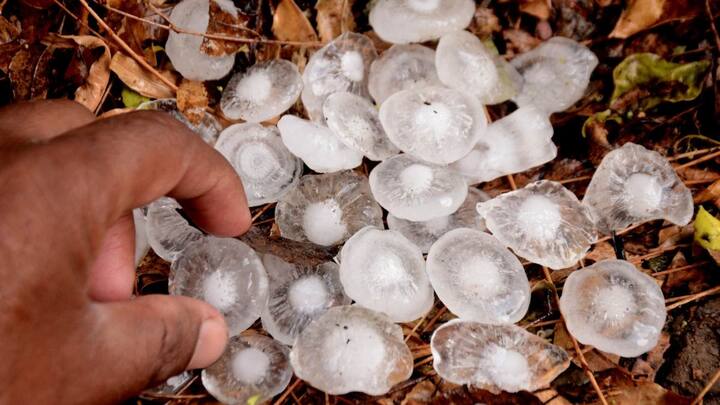 आईएमडी ने बताया कि बुधवार (21 फरवरी, 2024) को सिक्किम और बिहार में ओलावृष्टि की संभावना है.