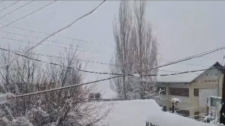 मौसम विभाग ने बताया कि लाहौल-स्पीति जिले के कुसुमसेरी, केलोंग और हंसा में क्रमशः 50.6 सेंटीमीटर, 21 सेंटीमीटर और 10 सेंटीमीटर बर्फबारी हुई, जबकि किन्नौर जिले के काल्पा में 2 सेंटीमीटर बर्फबारी हुई.