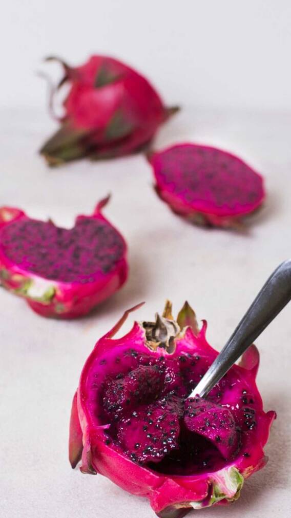 ड्रॅगन फ्रूट घरी वाढवण्यासाठी 'या'पध्दतीचा अवलंब करा