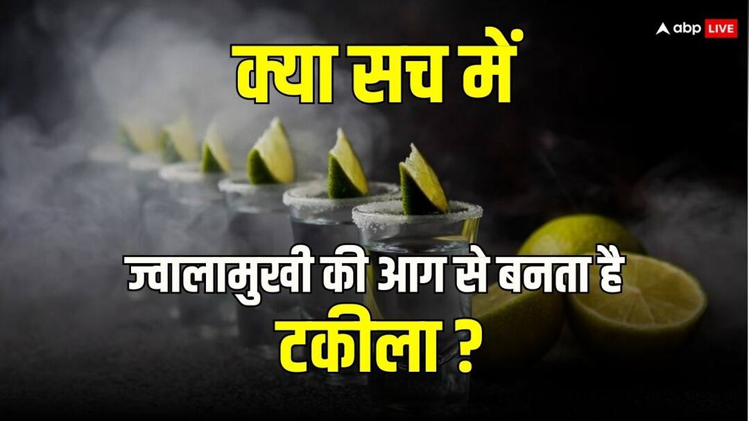 ज्वालामुखी की आग की वजह से बनती है टकीला शराब, इसका मेकिंग प्रोसेस हैरान कर देगा Tequila liquor is made due to volcanic fire its making process will surprise you ज्वालामुखी की आग की वजह से बनती है टकीला शराब, इसका मेकिंग प्रोसेस हैरान कर देगा