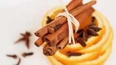 Kitchen Gardening: घर पर उगाएं दालचीनी, इस आसान तरीके को करें फॉलो  