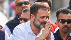 लोकसभा चुनाव में सिर्फ अमेठी से चुनाव लड़ेंगे राहुल गांधी? इस नेता के बयान ने बढ़ाई सियासी हलचल