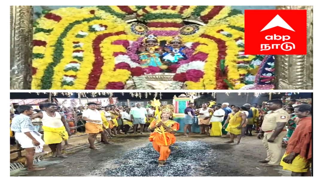 மயிலாடுதுறை தீப்பாய்ந்தாள் அம்மன் கோயில் 132ம் தீமிதி திருவிழா - திரளான பக்தர்கள் நேர்த்திக்கடன்