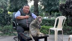 बंदर संग बैठे नगालैंड के मंत्री ने शेयर किया फोटो, कसा तंज- यह मेरा नया दोस्त है, न्याय यात्रा देखने भेजा था