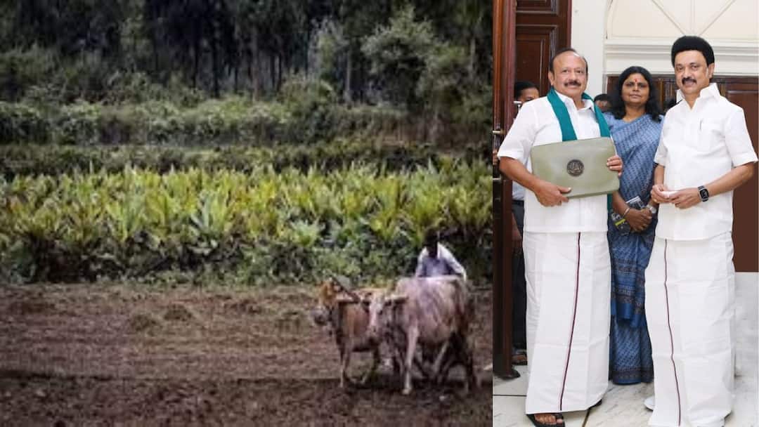 TN Agriculture Budget 2024: விவசாயிகளுக்கு சிறப்பு பரிசுகள் - வேளாண் பட்ஜெட்டில் தமிழக அரசு அறிவிப்பு