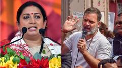 अमेठी में राहुल गांधी के सामने 'गो बैक' के लगे नारे, स्मृति ईरानी बोलीं- सूनी सड़कों ने किया स्वागत