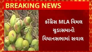 Politics News : કોંગ્રેસના આરોપ પર ભાજપ પ્રવકતા રાજુ ધ્રુવનો પલટવાર