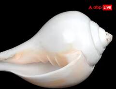 Lakshmi Ji Upay: ਅਮੀਰ ਬਣਨਾ ਹੈ ਤਾਂ ਘਰ 'ਚ ਰੱਖੋ ਇਹ ਚੀਜ਼ਾਂ, ਮਾਂ ਲਕਸ਼ਮੀ ਦਾ ਹੋਵੇਗਾ ਵਾਸਾ