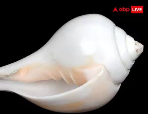 ਸ਼ੰਖ: ਸ਼ੰਖ ਦੀ ਉਤਪਤੀ ਸਮੁੰਦਰ ਦੇ ਮੰਥਨ ਤੋਂ ਹੋਈ ਸੀ, ਜੋ ਕਿ 14 ਰਤਨਾਂ ਵਿੱਚੋਂ ਇੱਕ ਹੈ। ਮਾਂ ਲਕਸ਼ਮੀ ਨੂੰ ਸ਼ੰਖ ਦਾ ਬਹੁਤ ਸ਼ੌਕ ਹੈ। ਇਸ ਨੂੰ ਘਰ 'ਚ ਰੱਖਣ ਨਾਲ ਕਦੇ ਵੀ ਪੈਸੇ ਦੀ ਕਮੀ ਨਹੀਂ ਹੁੰਦੀ।