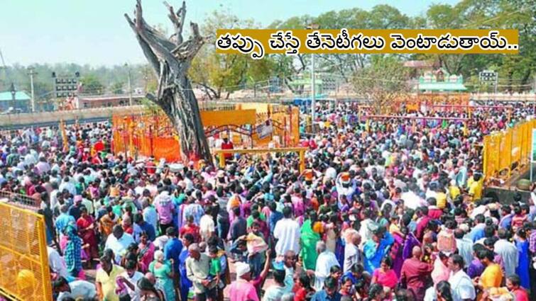 Medaram Sammakka Saralamma Jatara 2024 speciality of medaram Jatara Medaram Jatara 2024: జువ్విచెట్టు మొదలు తేనెతుట్ట వరకూ మేడారం జాతరలో ప్రతి ఘట్టమూ అద్భుతమే!