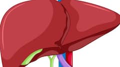 Health Tips: शरीर में दिखें ये लक्षण तो समझ जाएं लिवर में कोई दिक्कत है!