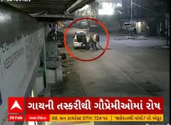 Vapi News | વાપીમાં ગૌ તસ્કરો બન્યા બેફામ, 2 કારમાં 5 ગાયોની ચોરી