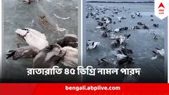 China Temperature Fall : ৬৪ বছরে রেকর্ড পারদপতন চিনে, রাতারাতি নদী জমে বরফ, সারে সারে মরল মাছ-পাখি