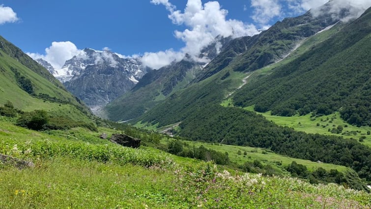 Uttarakhand beautiful Valley Flowers thousands tourists come ann Valley of Flowers: जानिए उत्तराखंड की खूबसूरत फूलों की घाटी के बारे में, जहां देश-विदेश से आते है, हजारों पर्यटक