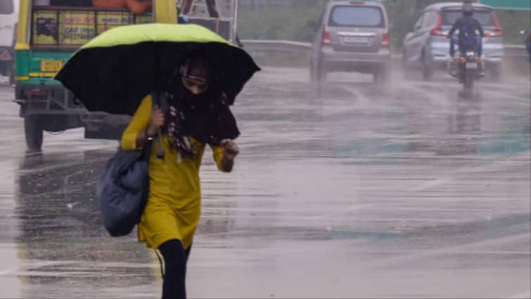 Haryana Punjab weather forecast today 20 February rain hailstorm alert By IMD Chandigarh Karnal Rohtak Panchkula ka Mausam Haryana-Punjab Weather: हरियाणा-पंजाब में बारिश का अलर्ट, ओले गिरने का भी अनुमान, तेज रफ्तार से चलेंगी हवाएं