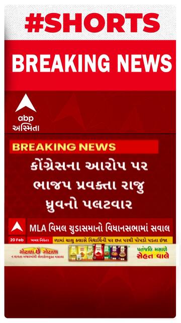 Politics News : કોંગ્રેસના આરોપ પર ભાજપ પ્રવકતા રાજુ ધ્રુવનો પલટવાર