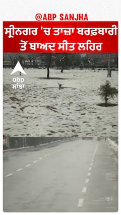 Srinagar Weather Update|ਸ੍ਰੀਨਗਰ 'ਚ ਤਾਜ਼ਾ ਬਰਫ਼ਬਾਰੀ ਤੋਂ ਬਾਅਦ ਸੀਤ ਲਹਿਰ