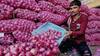 Ban On Onion Exports : దేశంలో ఉల్లి ఎగుమతులపై కొనసాగుతున్న నిషేధం- వదంతులపై స్పందించిన కేంద్రం