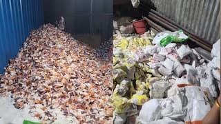 Pune Drugs : लंबा बाल, मुंबई का बंदर, न्यू पुणे जॅाब.... पुणे ड्रग्ज प्रकरणातील कोडवर्ड