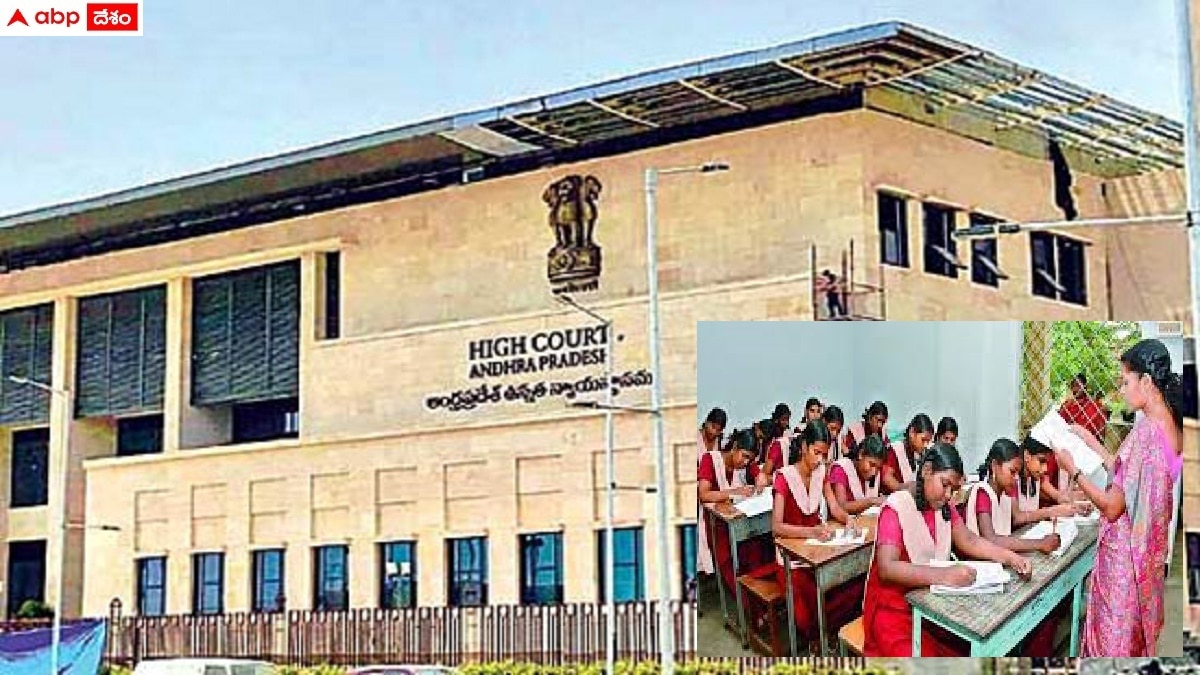 AP High Court: బీఈడీ అభ్యర్థులకు షాక్, ఎస్‌జీటీ పోస్టులకు అర్హతపై హైకోర్టు స్టే, ఆదేశాలు జారీ
