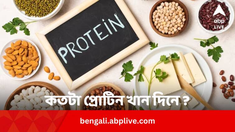 Daily Protein more than 22 percent of total calories may increase heart disease risk: Study Heart Disease Risk: কতটা প্রোটিন খান দিনে ? এর বেশি খেলে হার্টের বিপদ