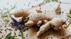 Immunity Booster Foods: আবহাওয়ার পরিবর্তনে বাড়ে সংক্রমণের সম্ভাবনা, এই সময় 'ইমিউনিটি বুস্টার' হিসেবে কী কী খেতে পারেন?