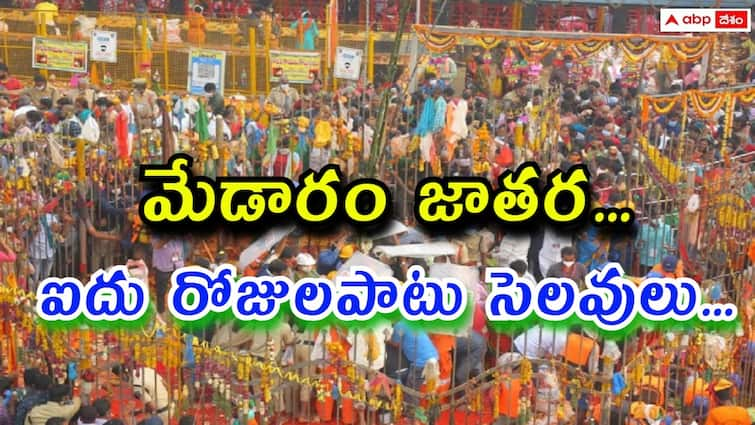 five days schools and college holidays due to medaram jatara in Telangana school holidays in Telangana: మేడారం జాతర ఎఫెక్ట్, విద్యాసంస్థలకు వరుసగా 5 రోజులు సెలవులు