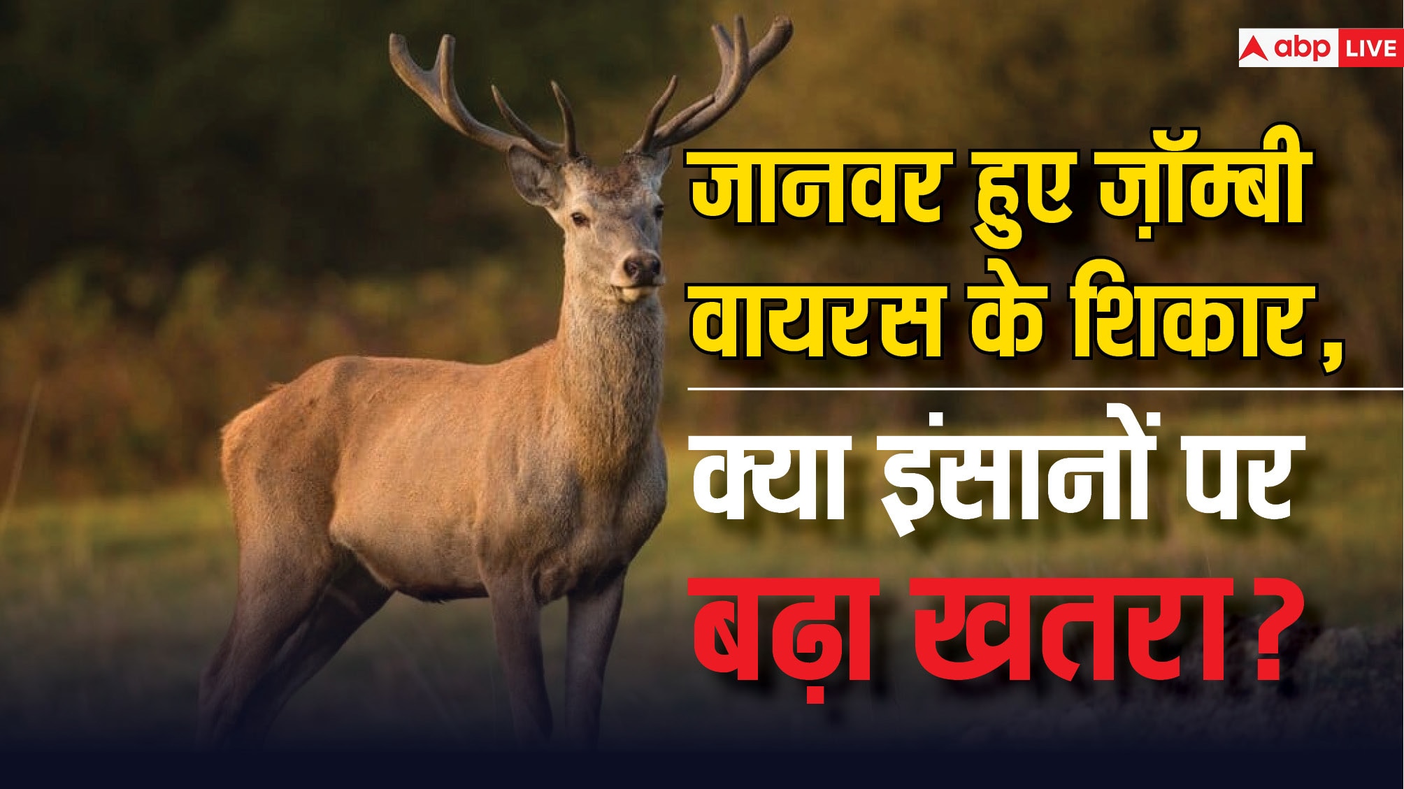 Deer information in best sale hindi